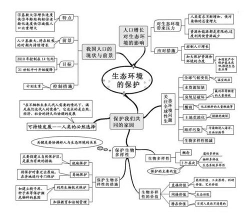 创业团队的领导结构