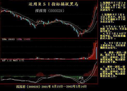 美股纳指震荡收涨0.41 新能源汽车股走高